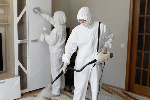Attic Mold Removal in Discovery Bay, CA