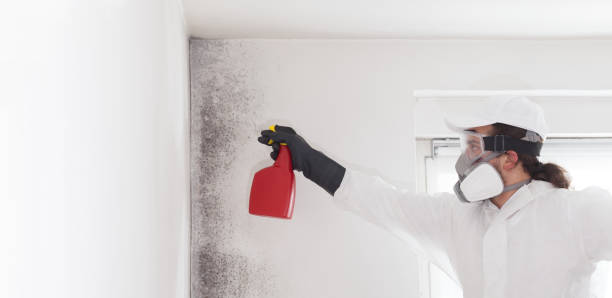 Best Crawl Space Mold Removal  in Discovery Bay, CA